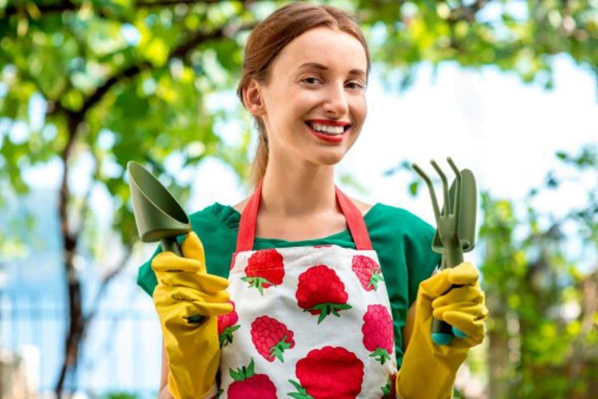 a guide to gardening for beginners