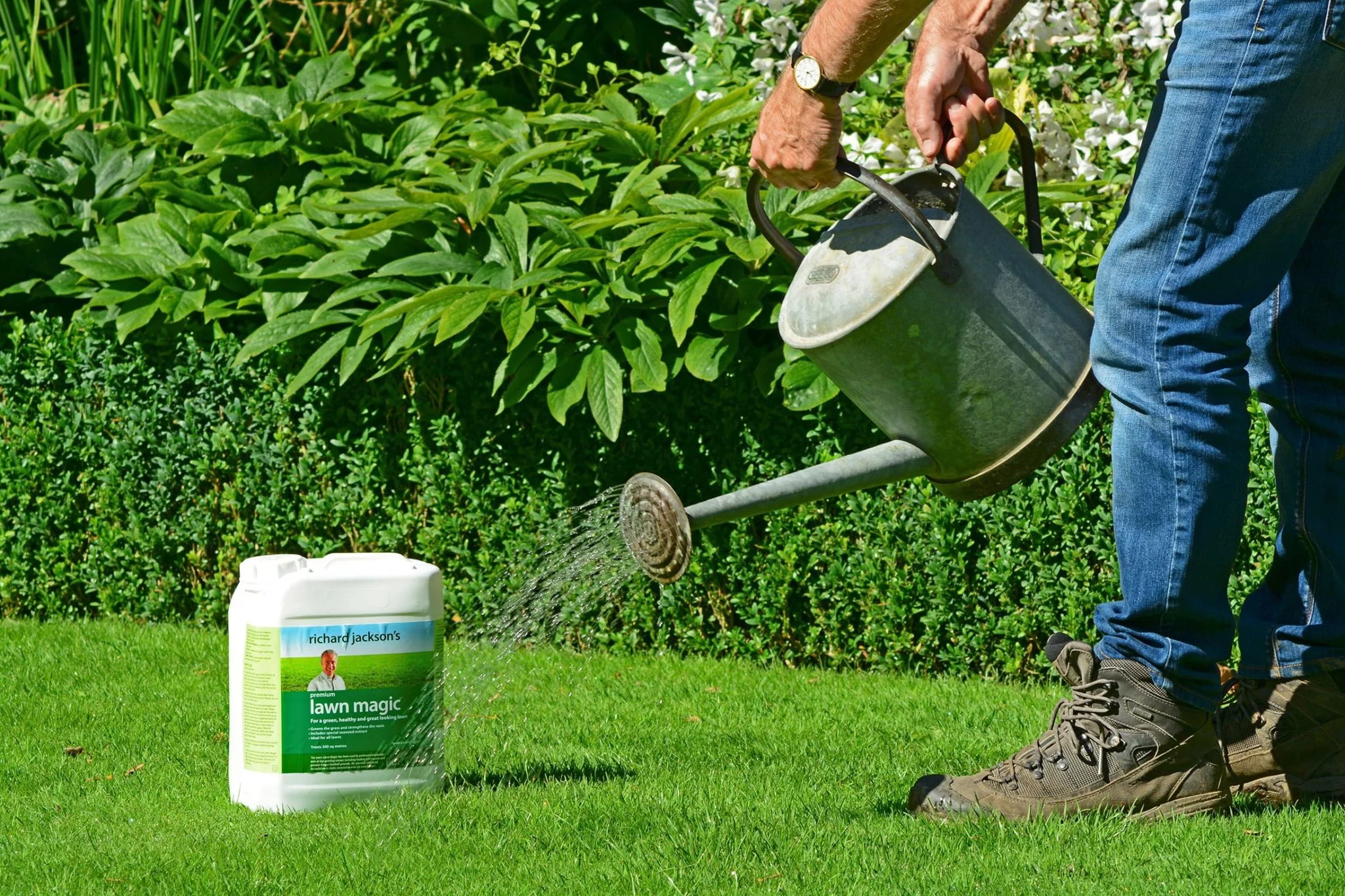 How to Maintain a Lush Green Lawn
