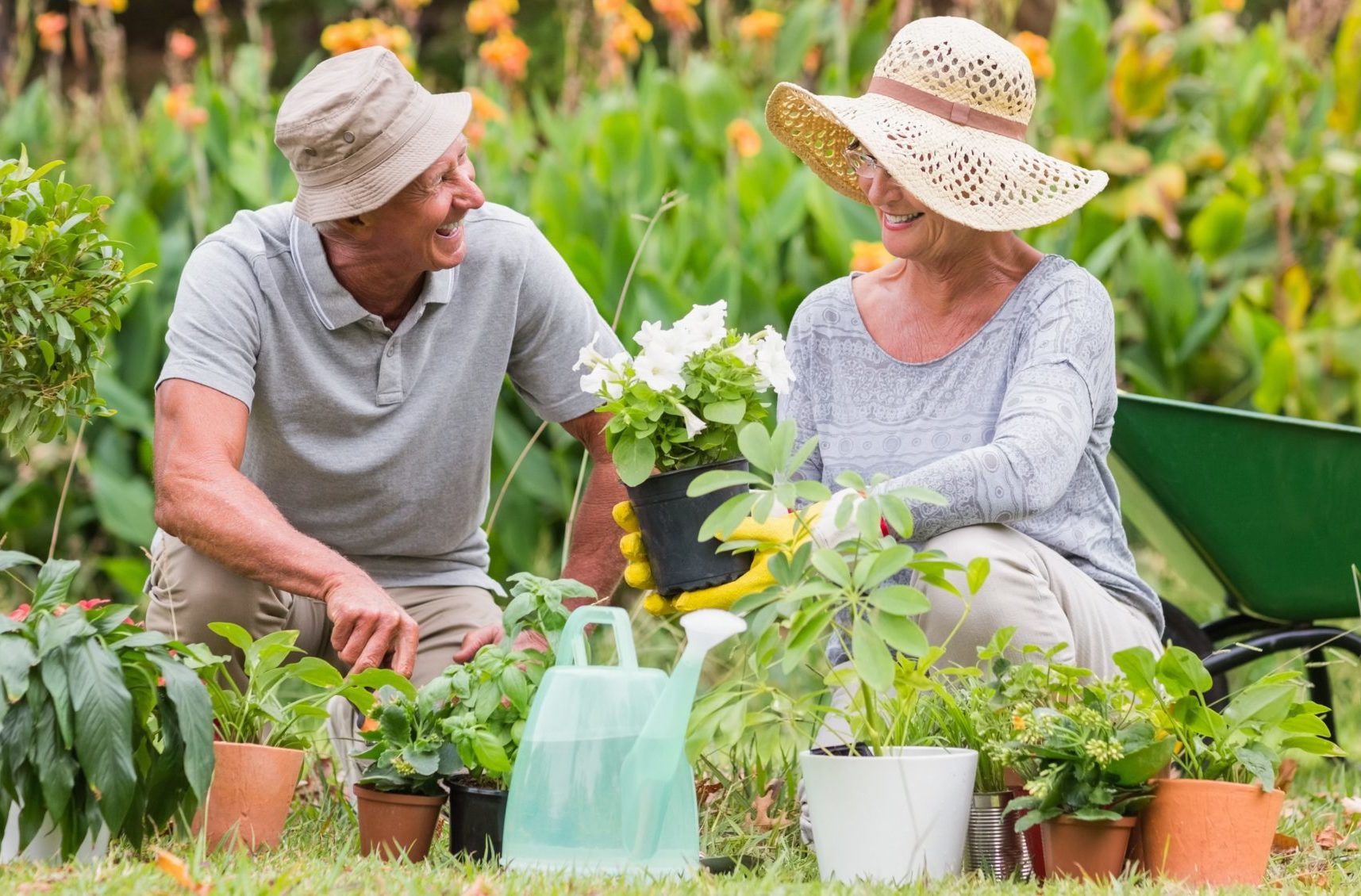 The Health Benefits of Gardening