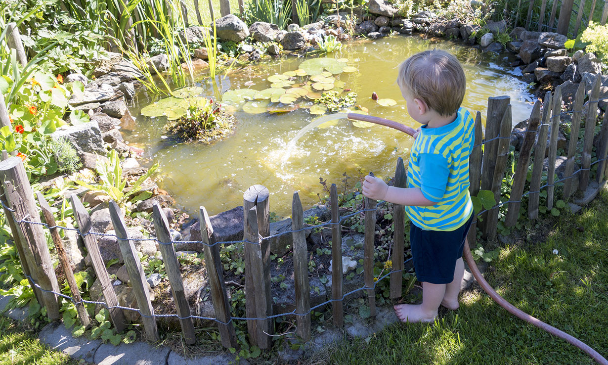 What Are the Hazards in the Garden For Children?