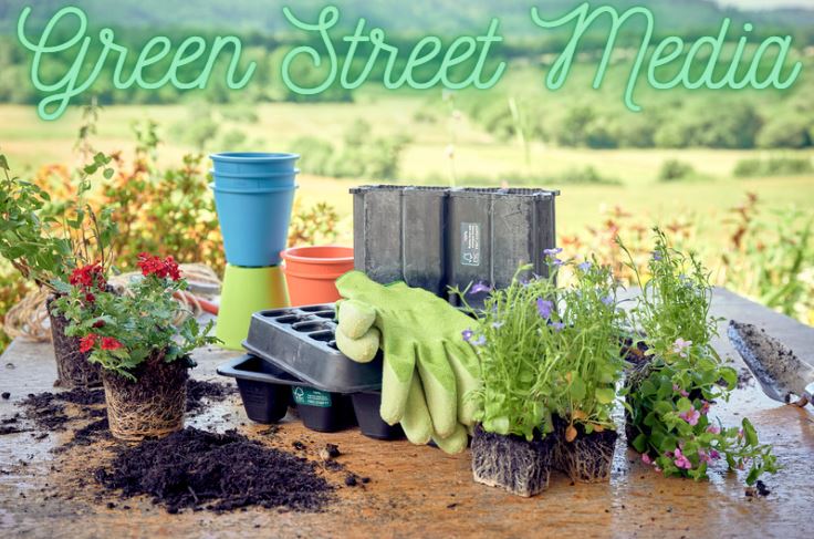 Green Street Media