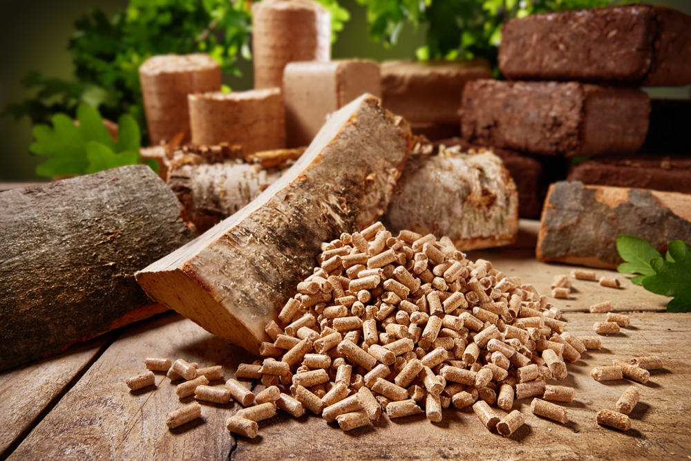 Harnessing Nature’s Energy: A Comprehensive Guide to Wood Briquettes