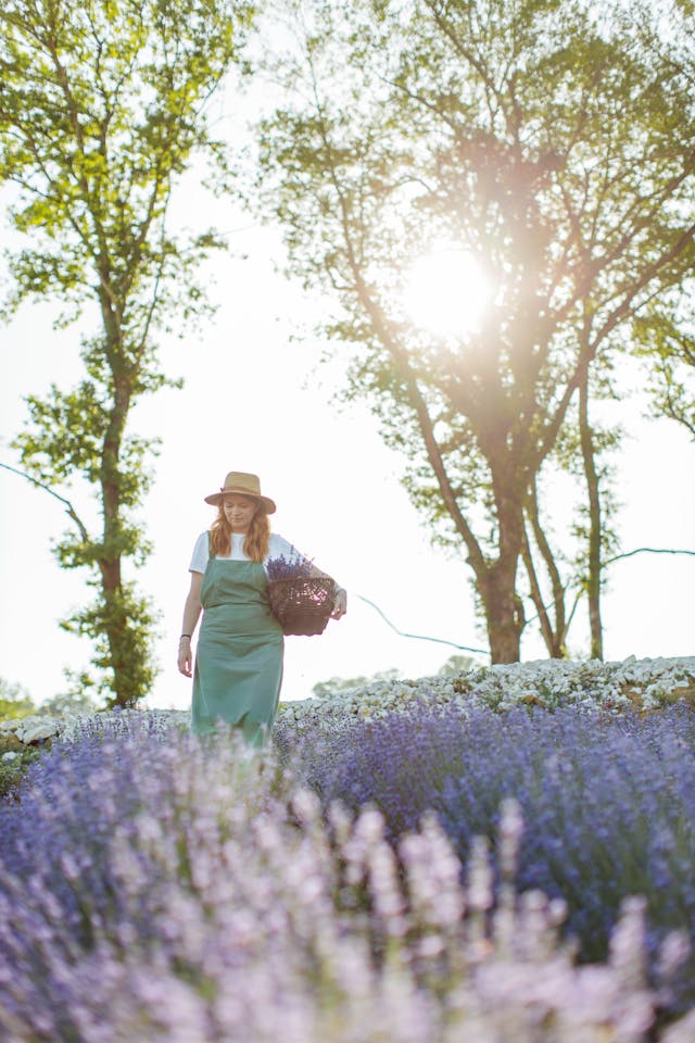 Garden Centre Vancouver & Nursery Maple Ridge: Your Go-To Spots for Gardening Success