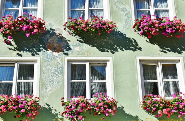 Plants in British Columbia & Where to Buy the Best Planters