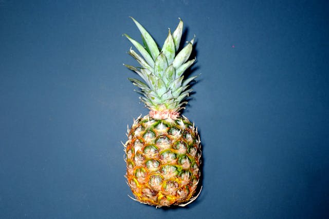 Coffee Plant & Pineapple Tree: Exotic Plants to Grow at Home
